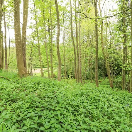 Murton Appleby-in-Westmorland
